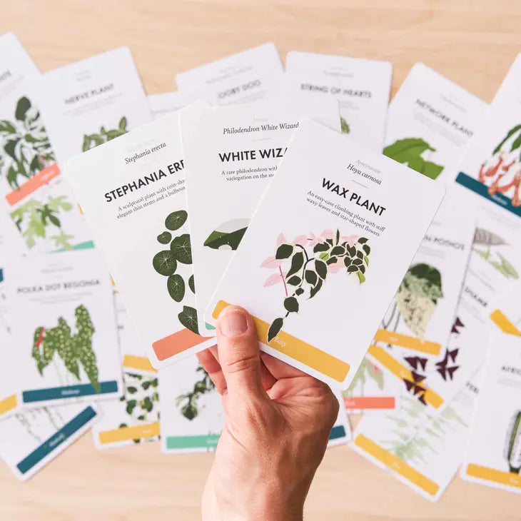 Houseplant Care Cards | Edition 2