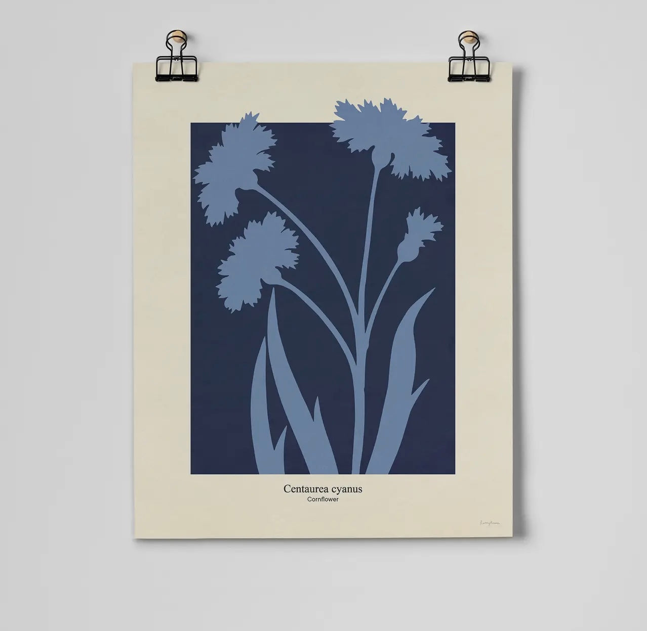Philipp Otto Runge Botanicals Cornflower Print | A3