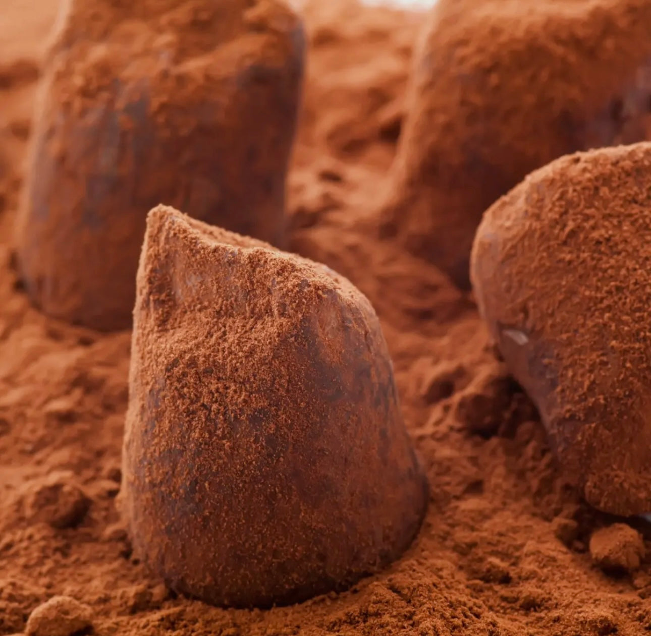 Simply Plain Truffles