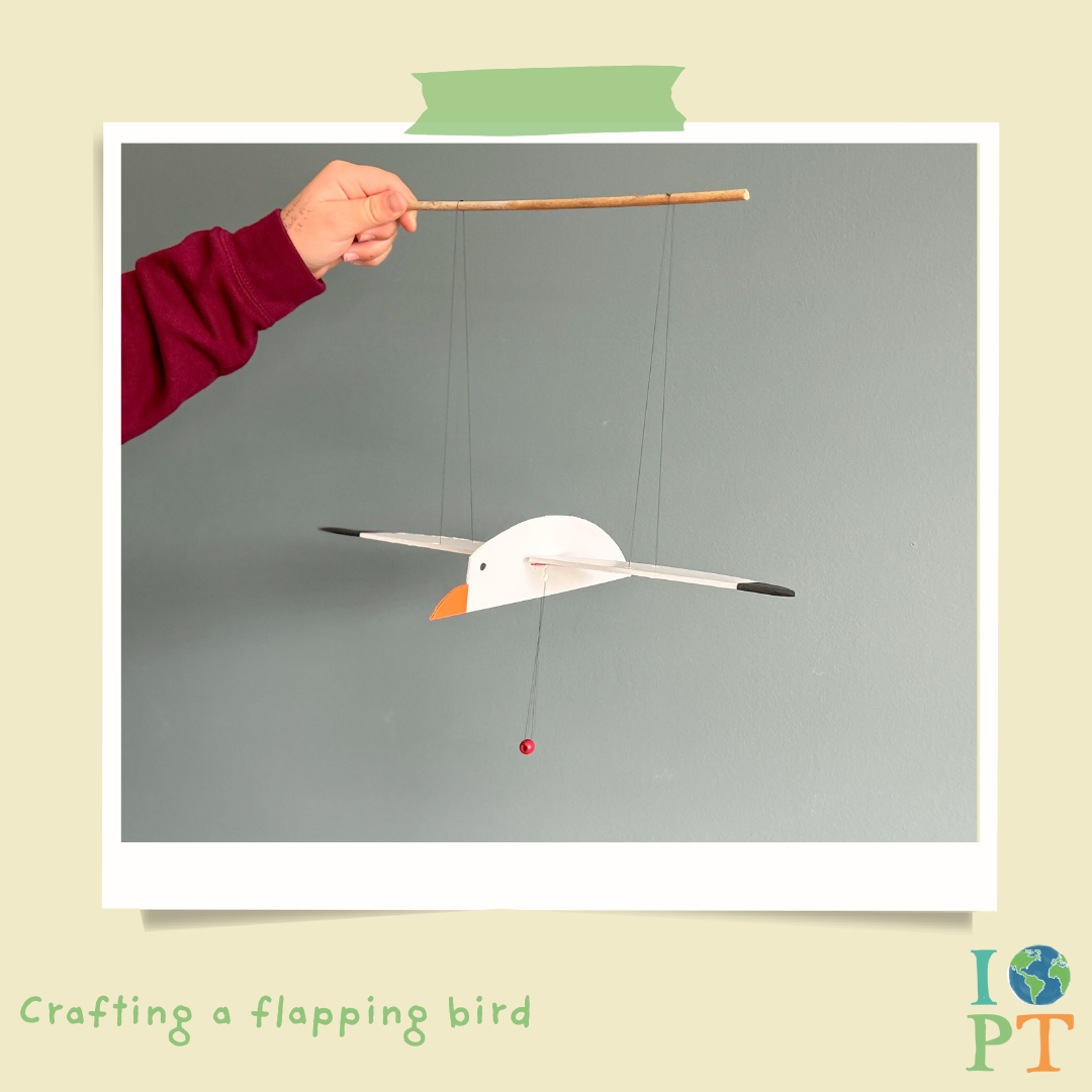 Eco Activity Box | The Secret Life of Birds