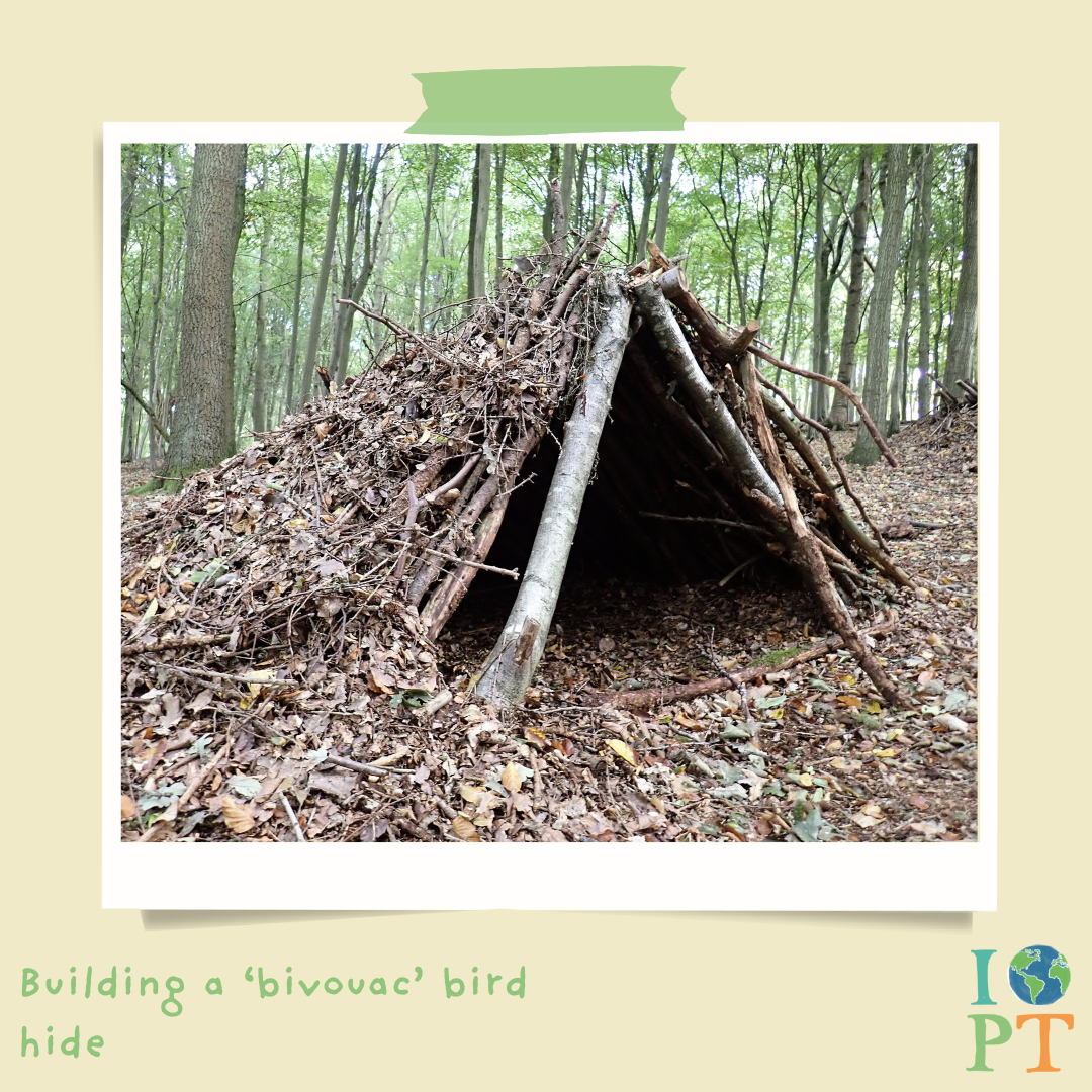 Eco Activity Box | The Secret Life of Birds