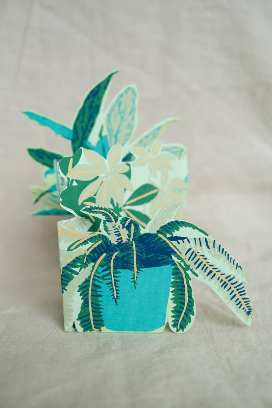 Plant Pot Concertina Greeting Card