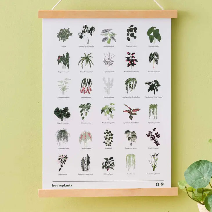 Houseplant Print with Botanical Illustrations | A3