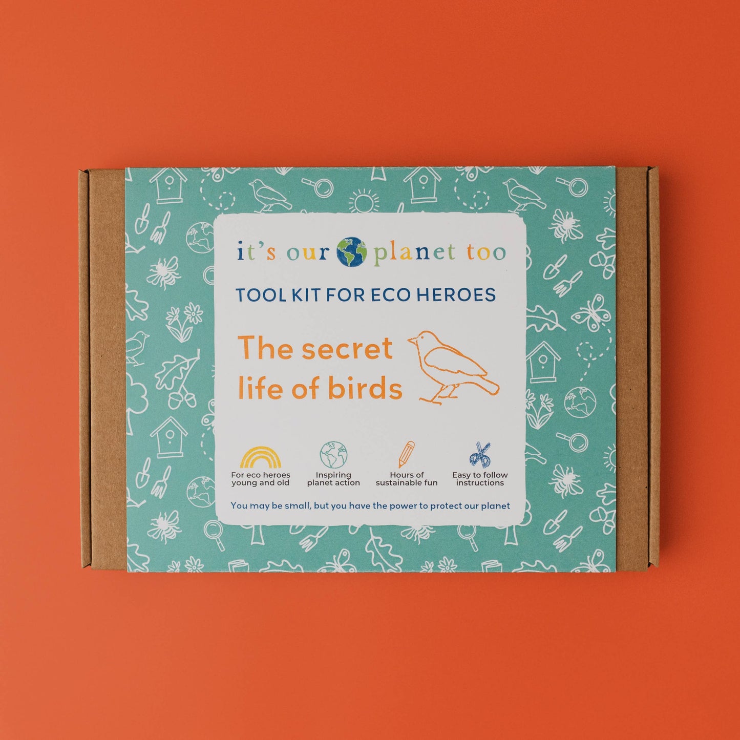 Eco Activity Box | The Secret Life of Birds