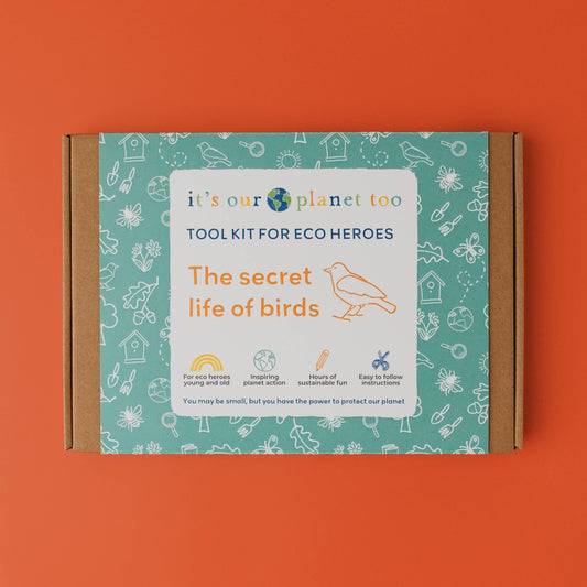 Eco Activity Box | The Secret Life of Birds