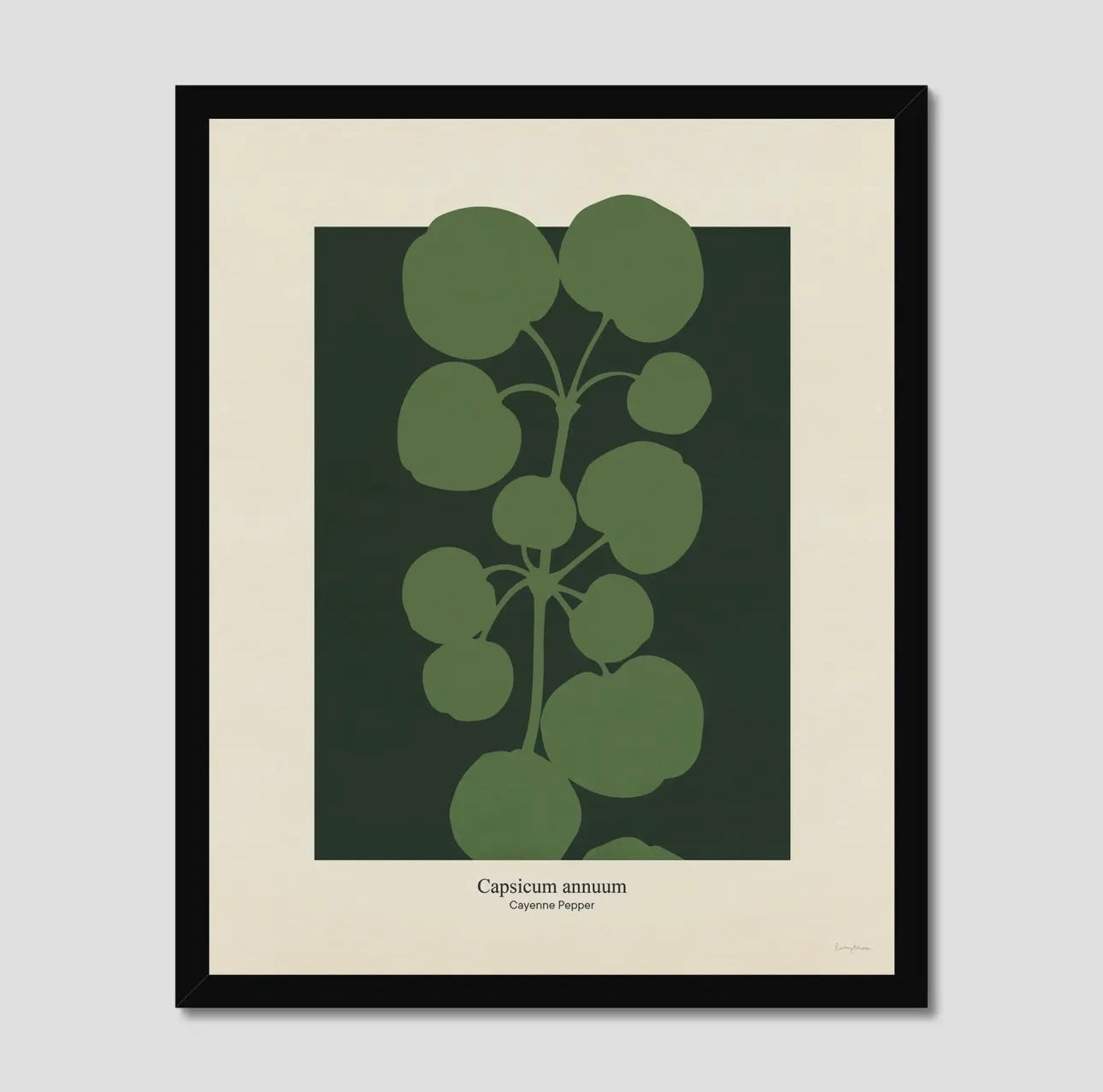 Philipp Otto Runge Botanicals Cayenne Print | A3