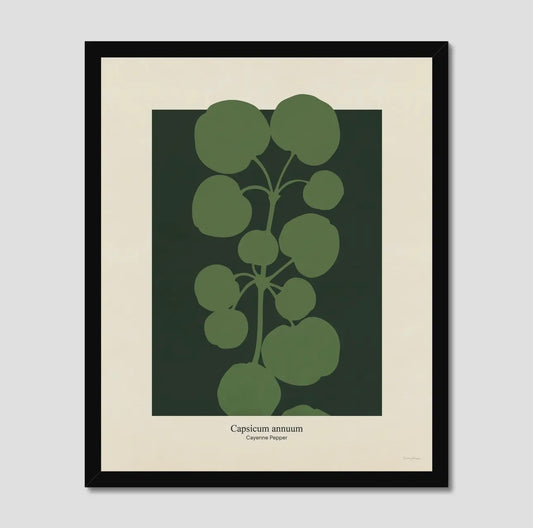 Philipp Otto Runge Botanicals Cayenne Print | A3