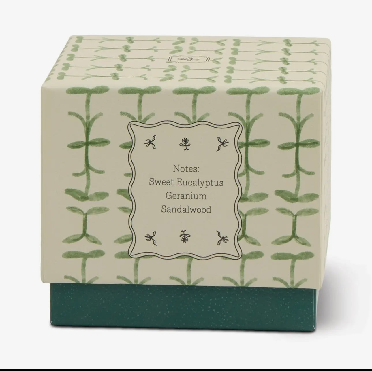 Tulip Glass Candle | Verbena and Eucalyptus