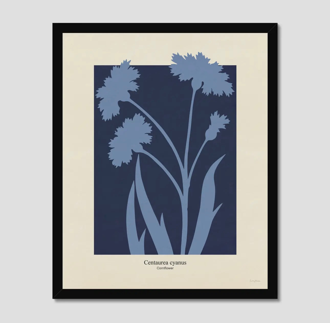 Philipp Otto Runge Botanicals Cornflower Print | A3