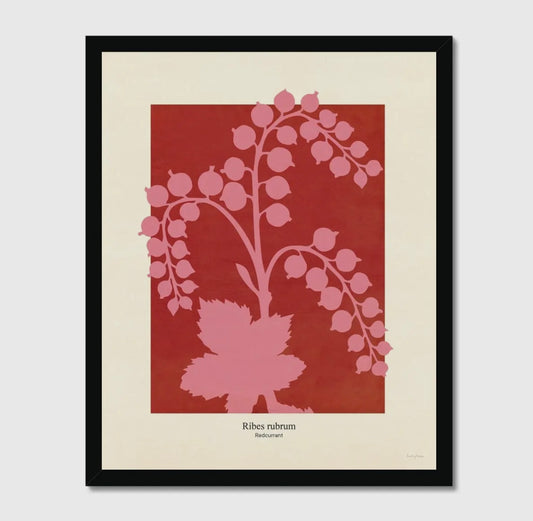 Philipp Otto Runge Botanicals Redcurrant Print | A3