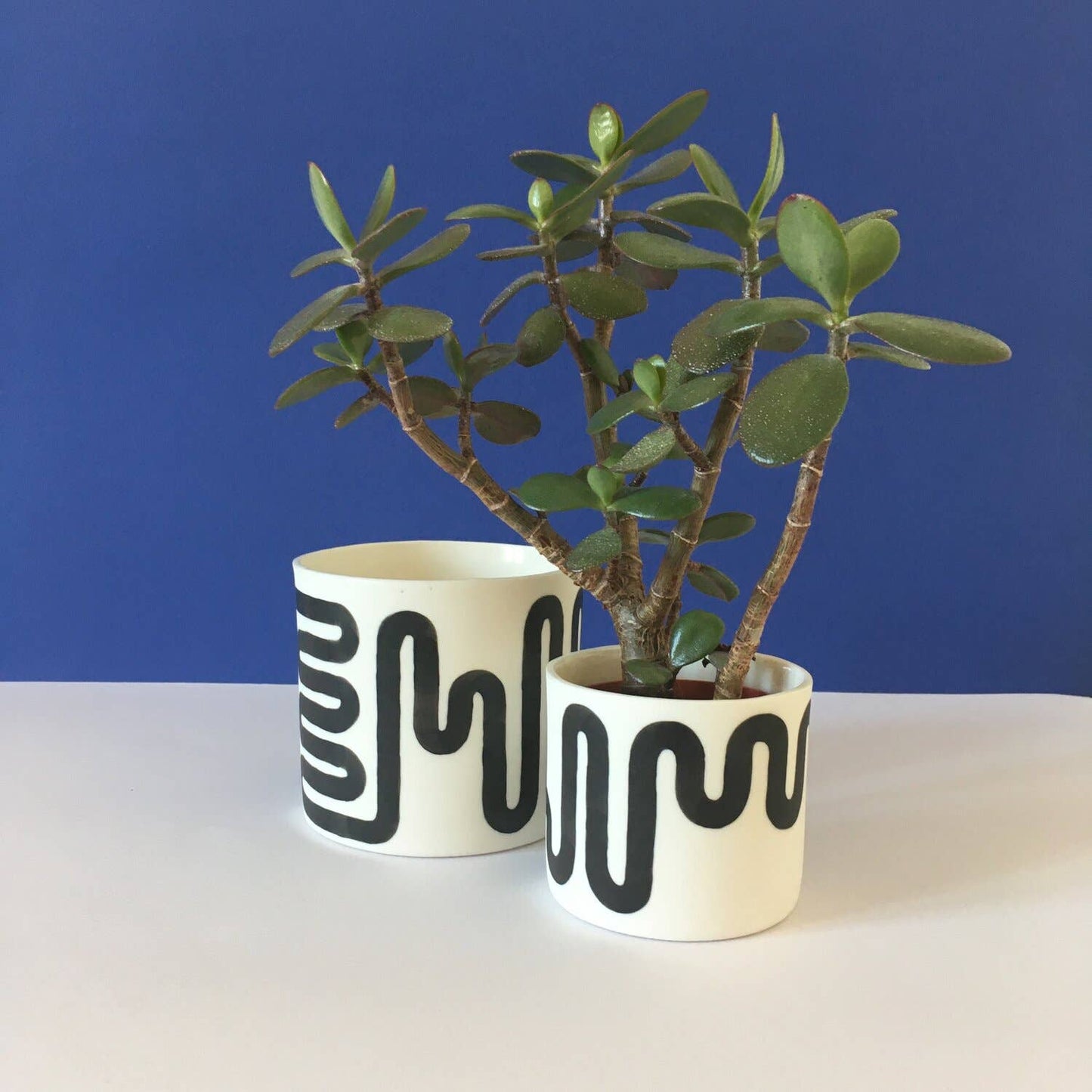 Wiggle Pot | Small