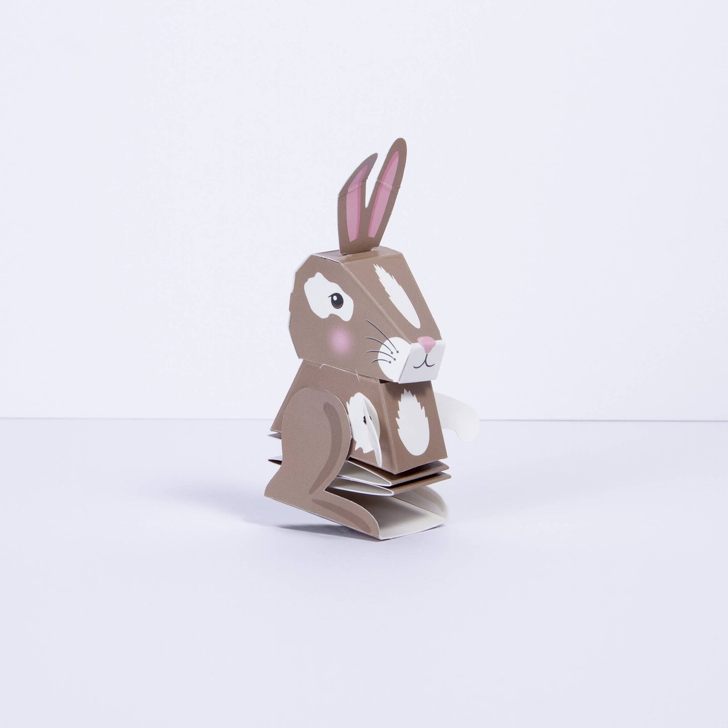 Create Your Own Bouncing Bunny