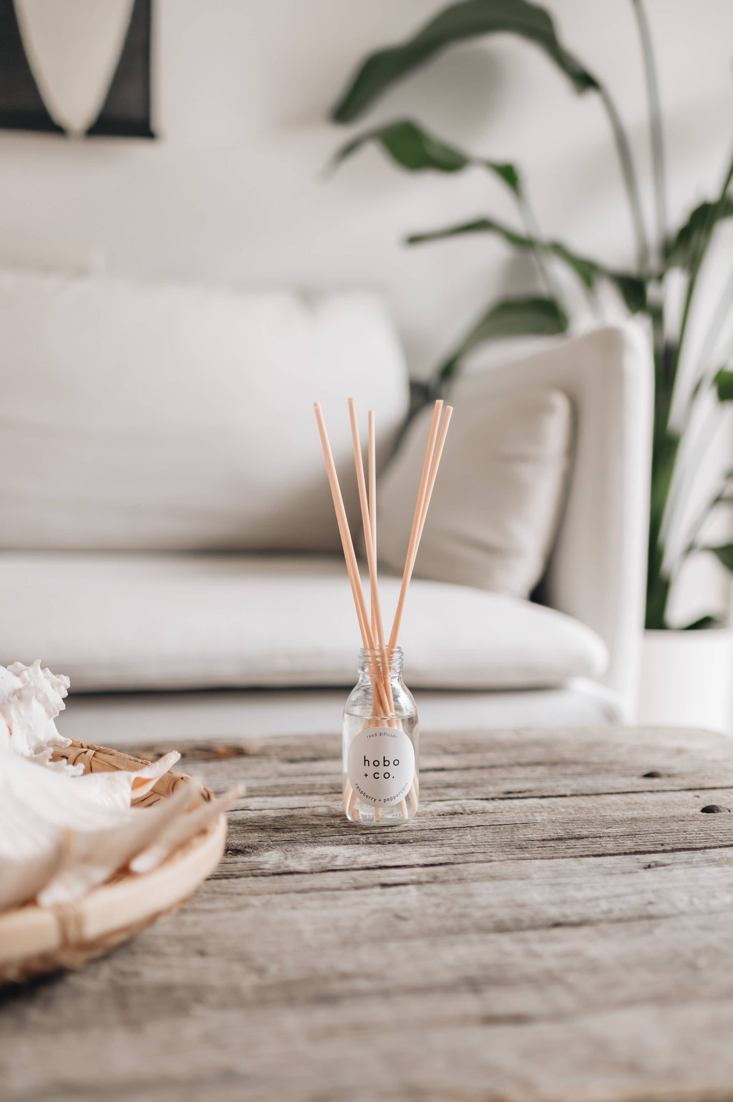 Reed Diffuser | Raspberry + Peppercorn