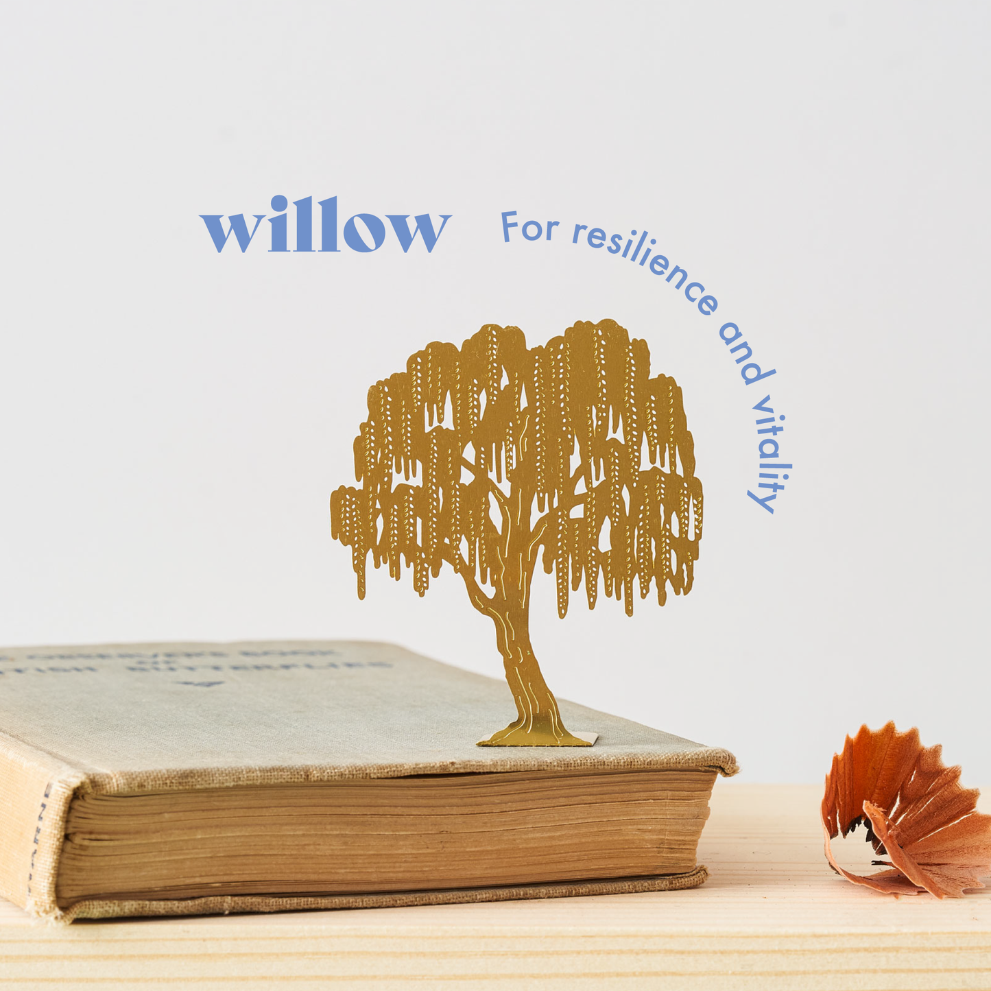 Brass Keepsake | Tiny Willow