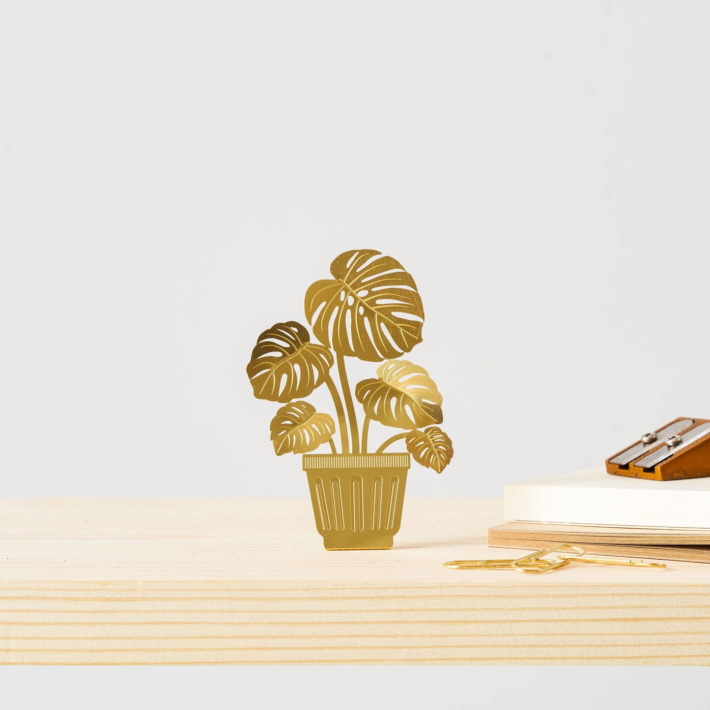 Brass Keepsake | Tiny Monstera Plant