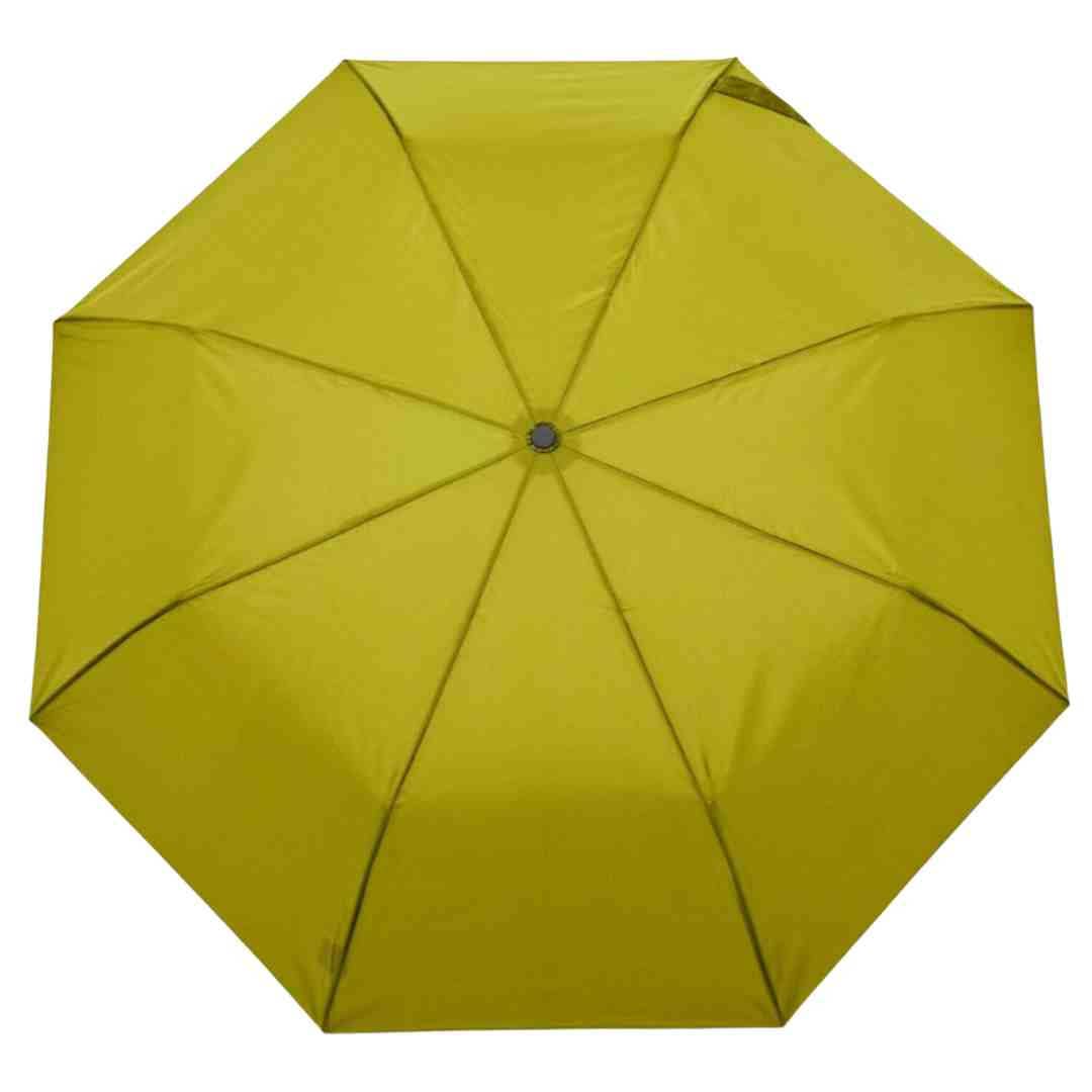 Olive Umbrella